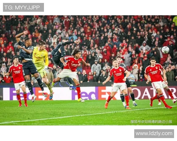 韩国足球明星数量众多他们在国际赛场上的表现如何