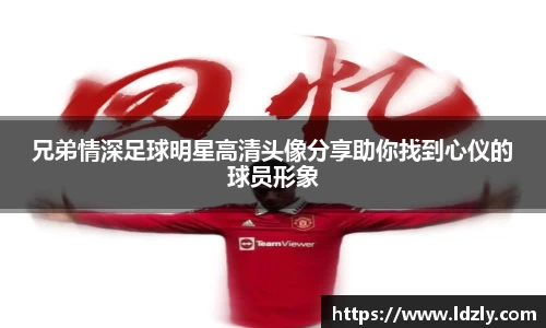 星空综合官方网站